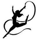 DR Logo
