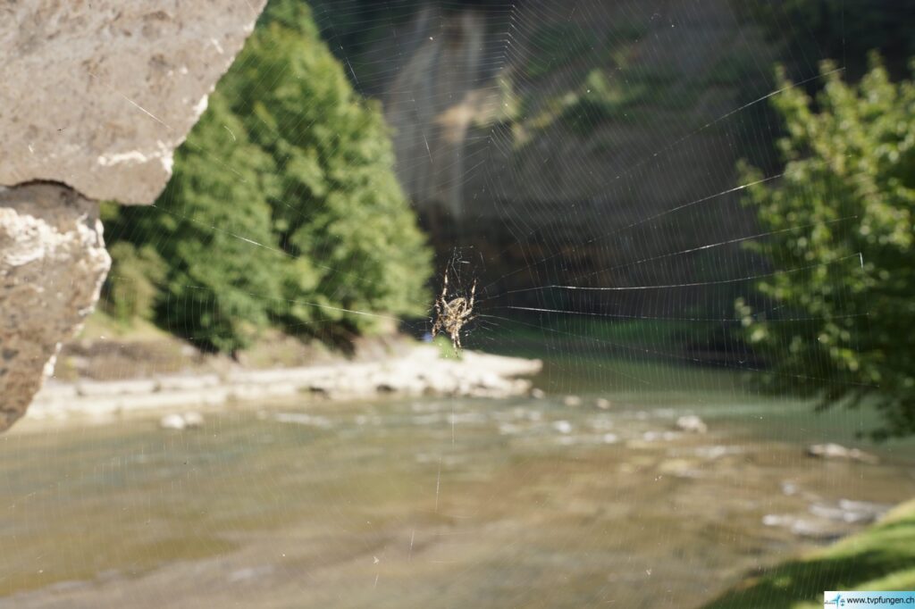 12TurnfahrtFribourg_143