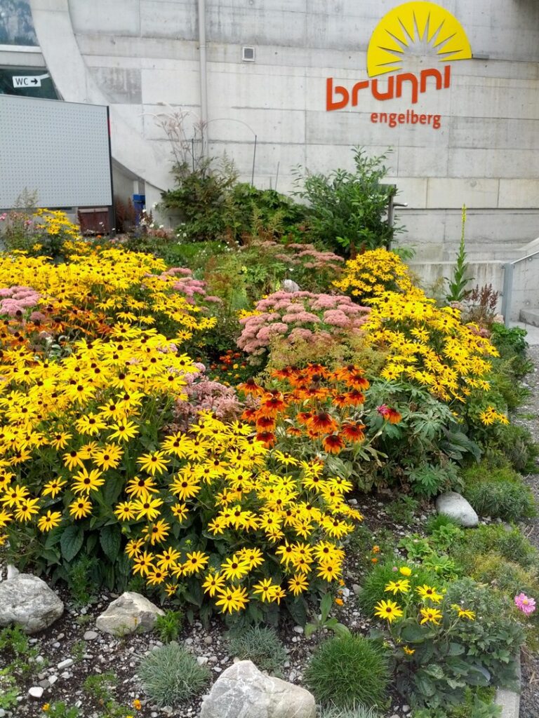 13_FR_Reise_Engelberg_022