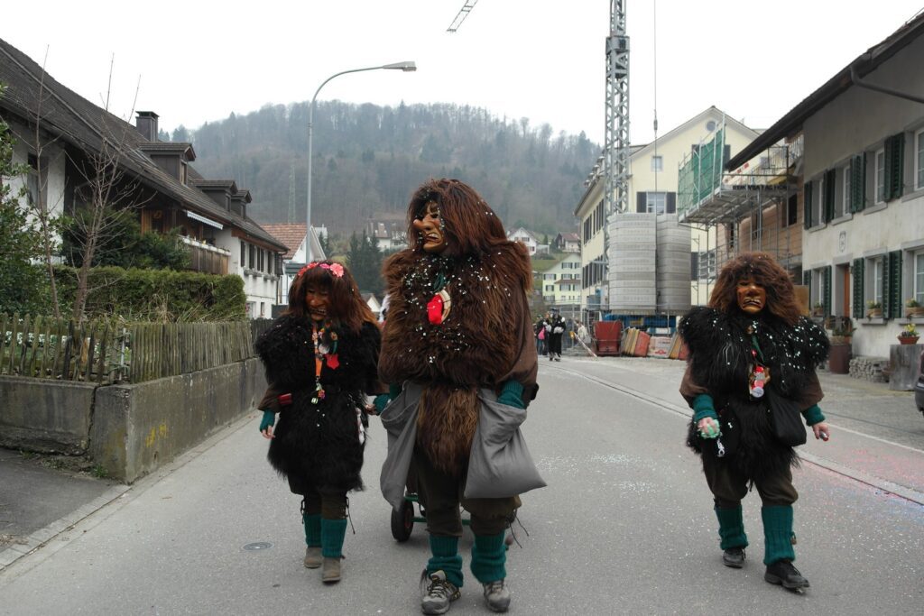 14_TVDR_FasnachtPfungen-1_041