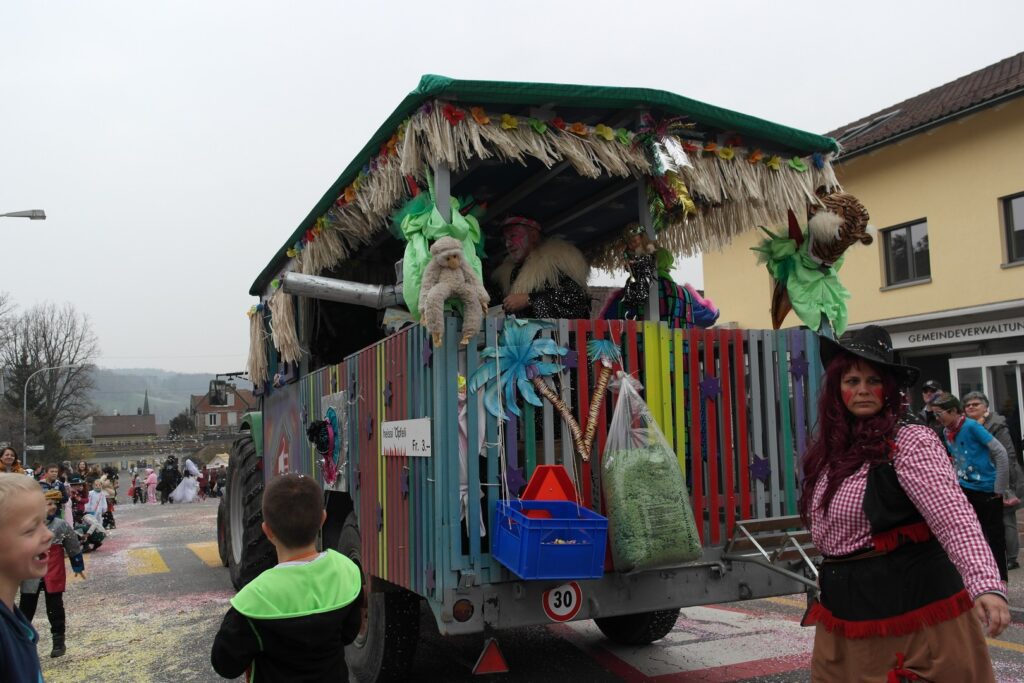 14_TVDR_FasnachtPfungen-1_093