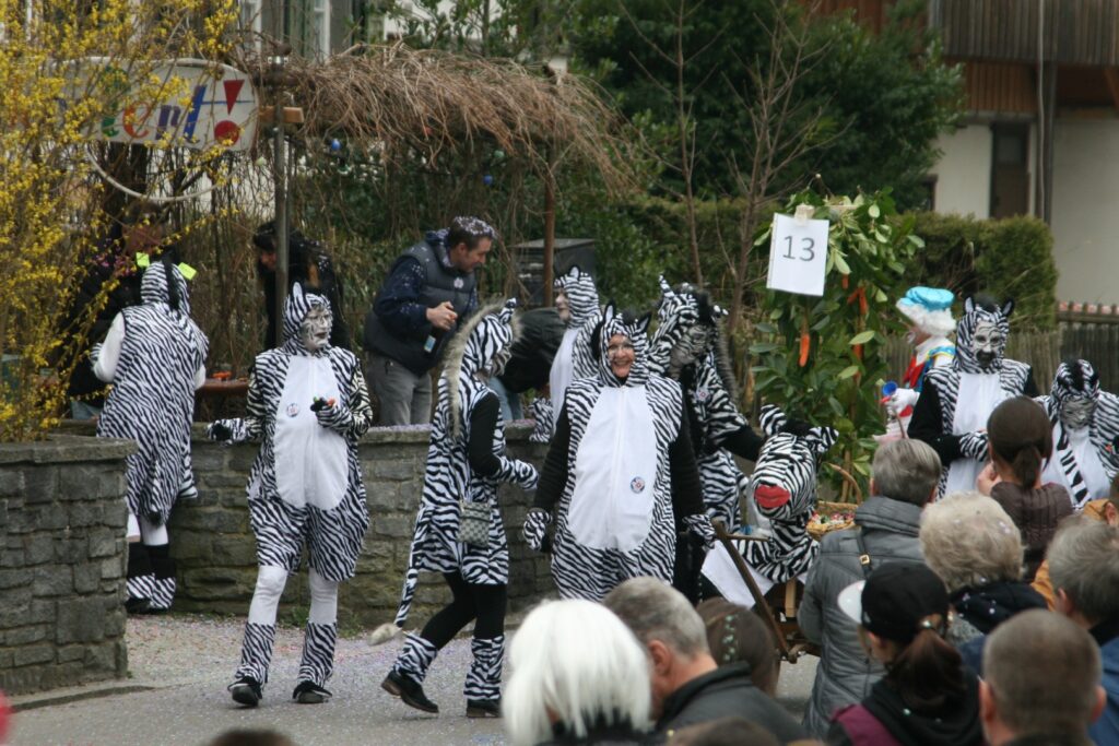 14_TVDR_FasnachtPfungen-2_067