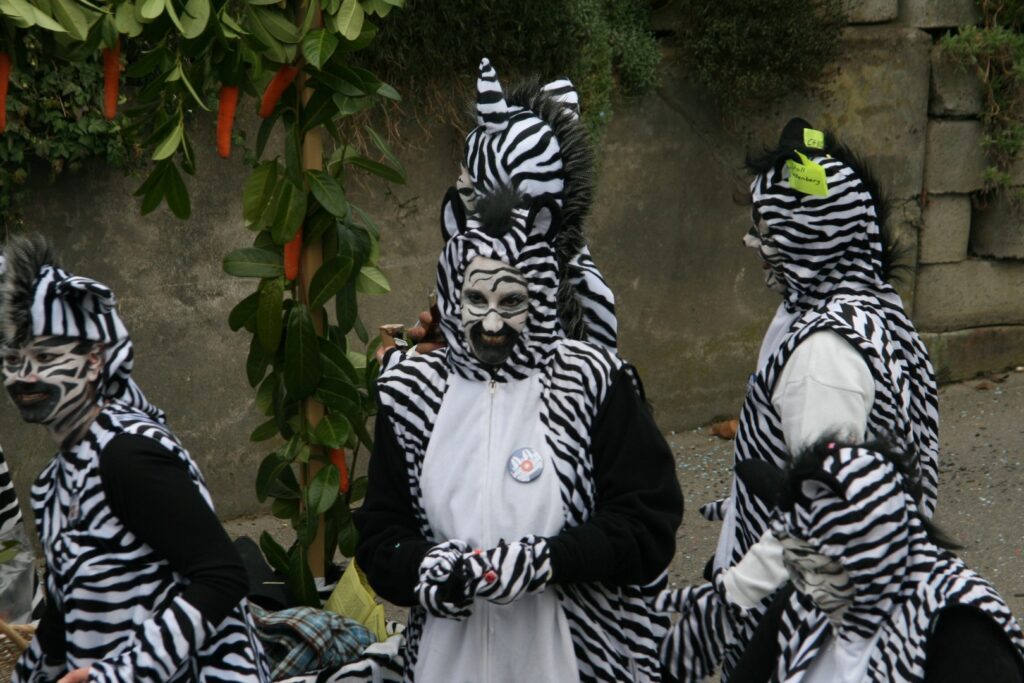 14_TVDR_FasnachtPfungen-2_068