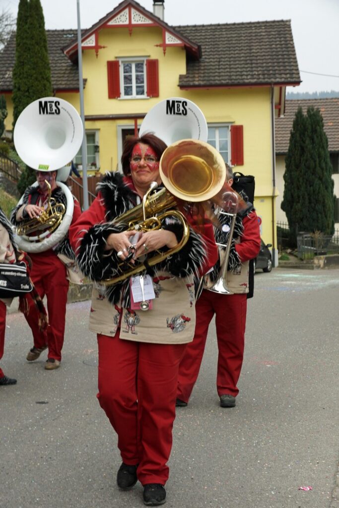 14_TVDR_FasnachtPfungen-3_067