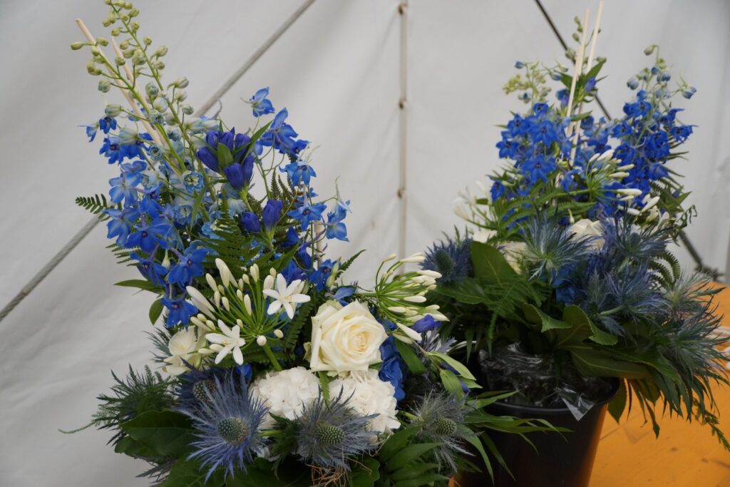 14_TVDR_RTF_Ossingen_005