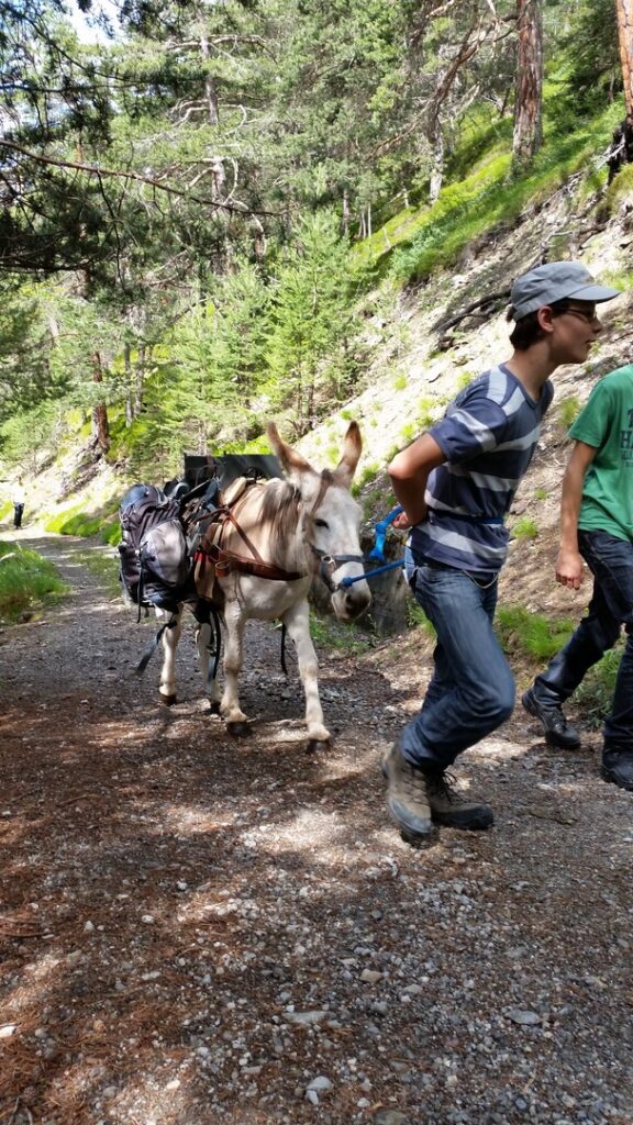 14_Jugi_Jugireise_015