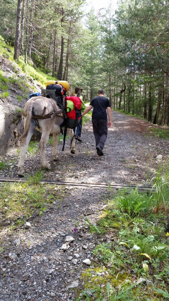 14_Jugi_Jugireise_016