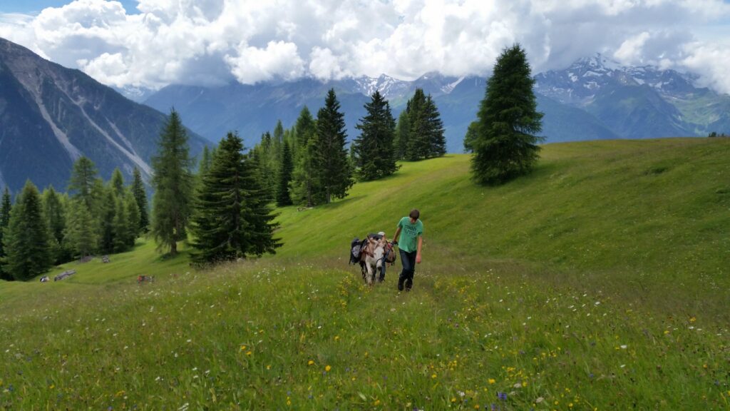 14_Jugi_Jugireise_022