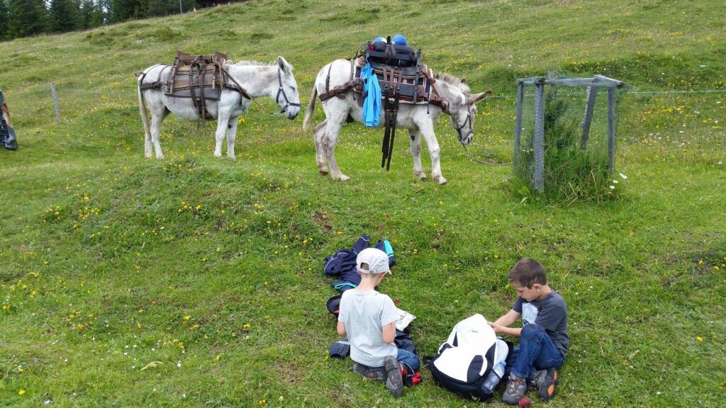 14_Jugi_Jugireise_028