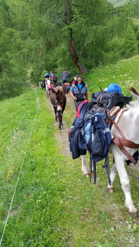 14_Jugi_Jugireise_032