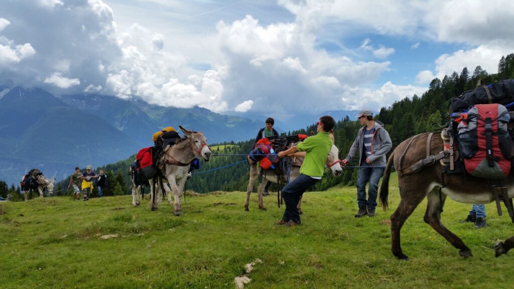 14_Jugi_Jugireise_036