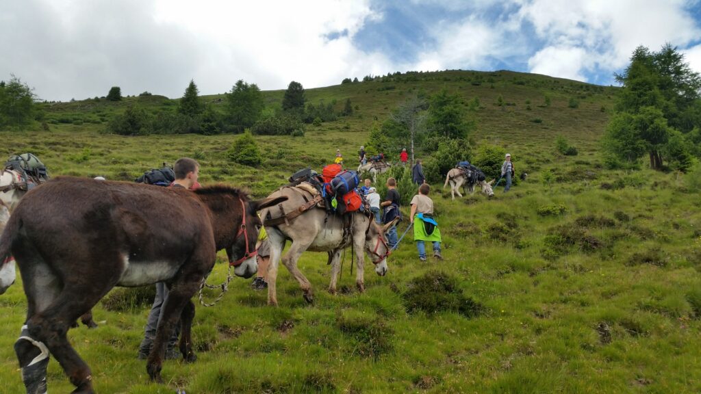 14_Jugi_Jugireise_041