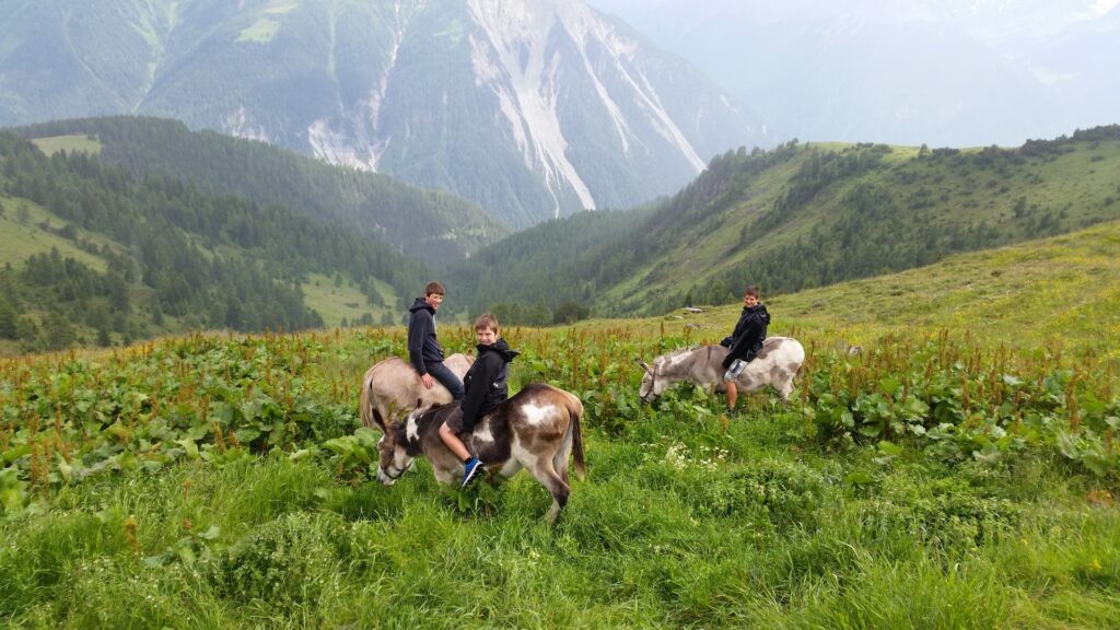 14_Jugi_Jugireise_052