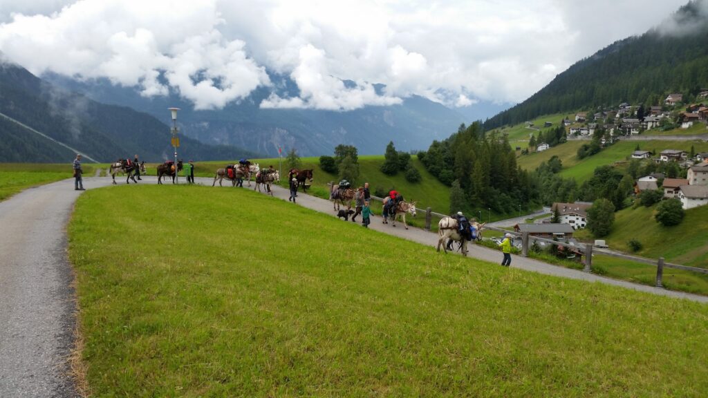 14_Jugi_Jugireise_074