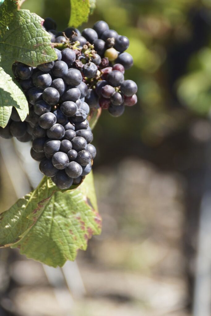 14_TV_Turnfahrt_Wallis_016