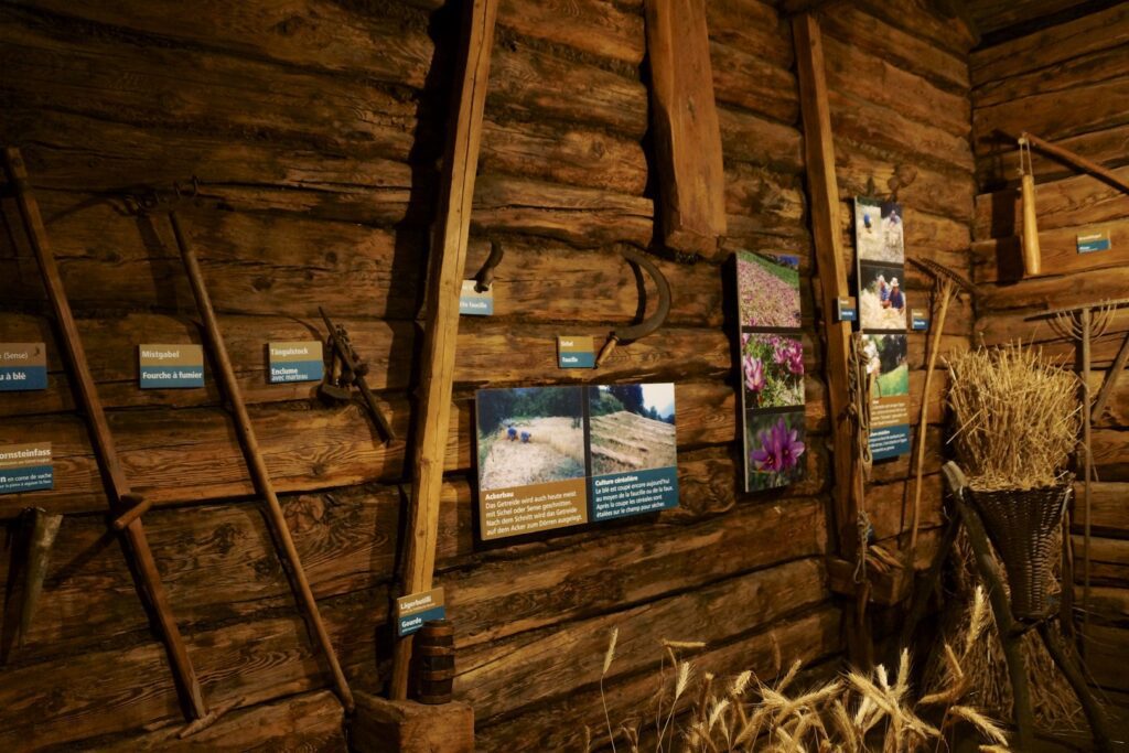 14_TV_Turnfahrt_Wallis_080