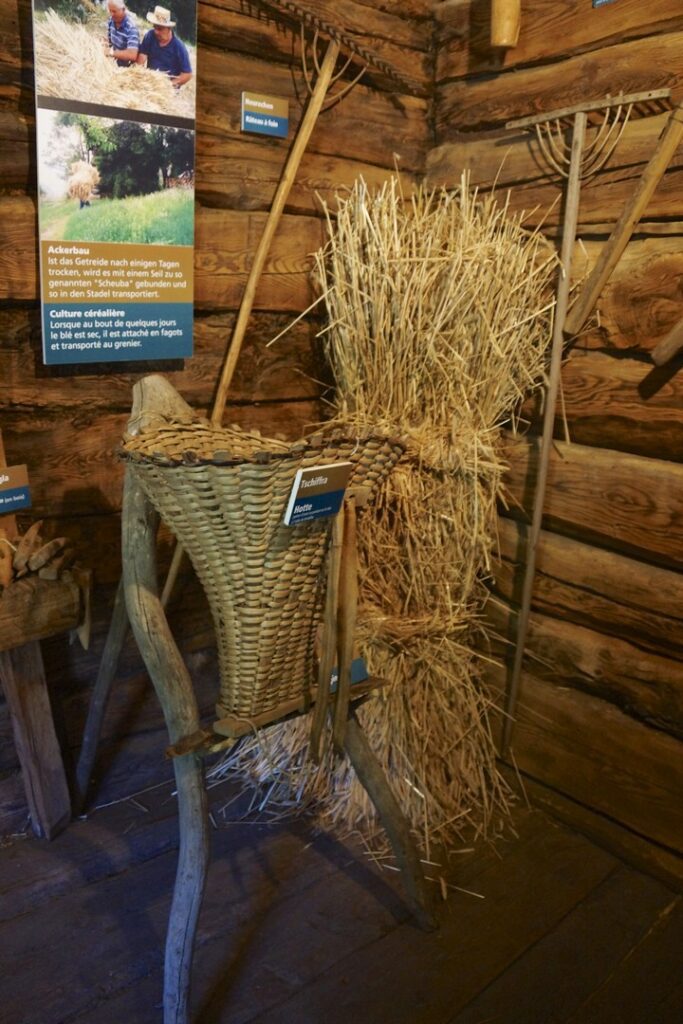 14_TV_Turnfahrt_Wallis_084