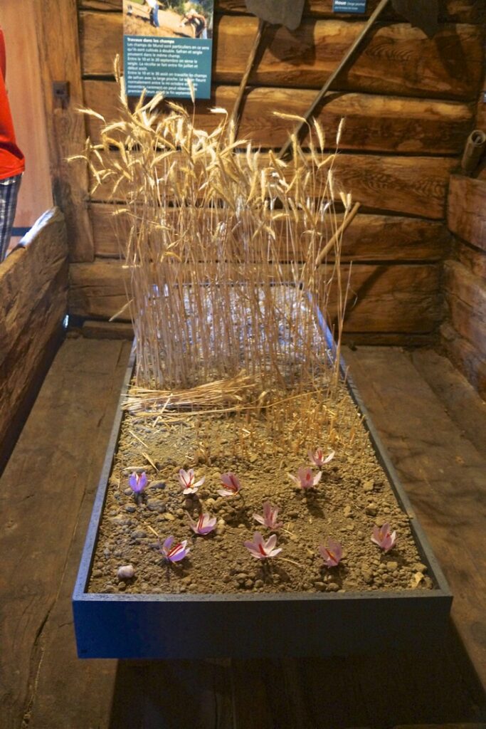 14_TV_Turnfahrt_Wallis_085