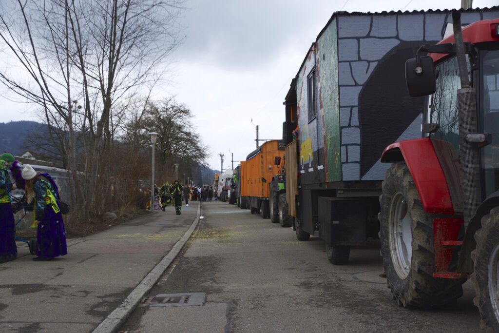 15_TVDR_FasnachtPfungen-1_032