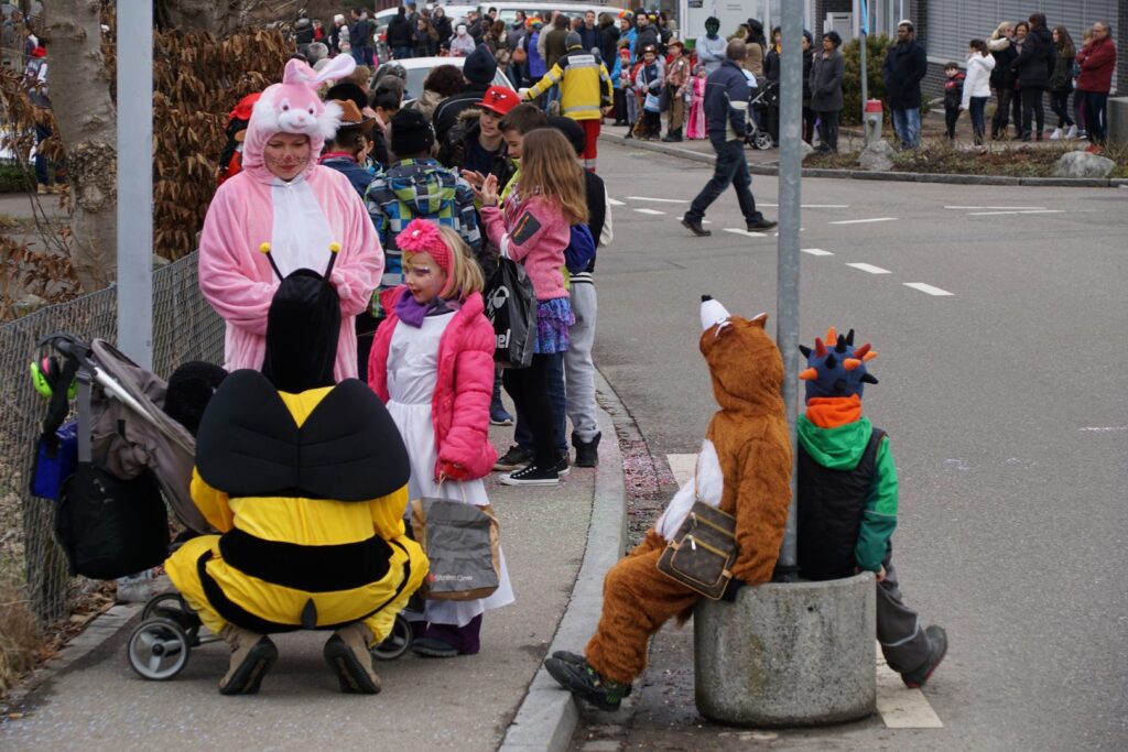 15_TVDR_FasnachtPfungen-2_018