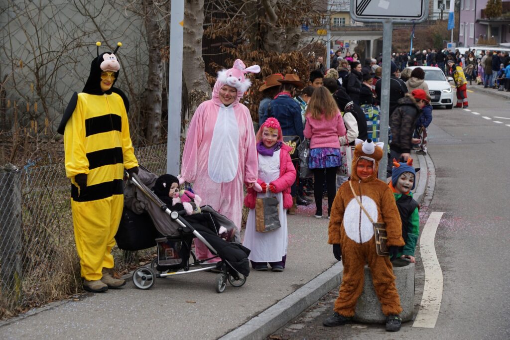 15_TVDR_FasnachtPfungen-2_020