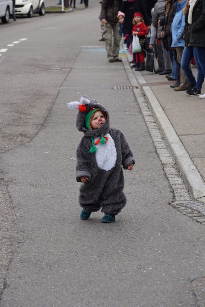 15_TVDR_FasnachtPfungen-2_026