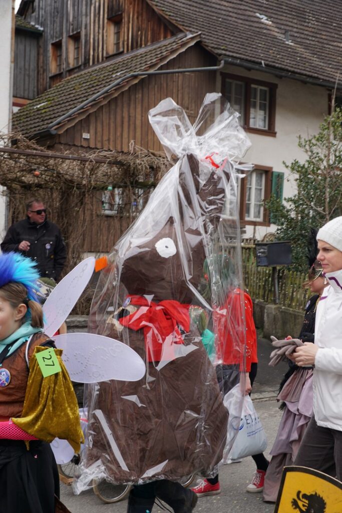 15_TVDR_FasnachtPfungen-2_064