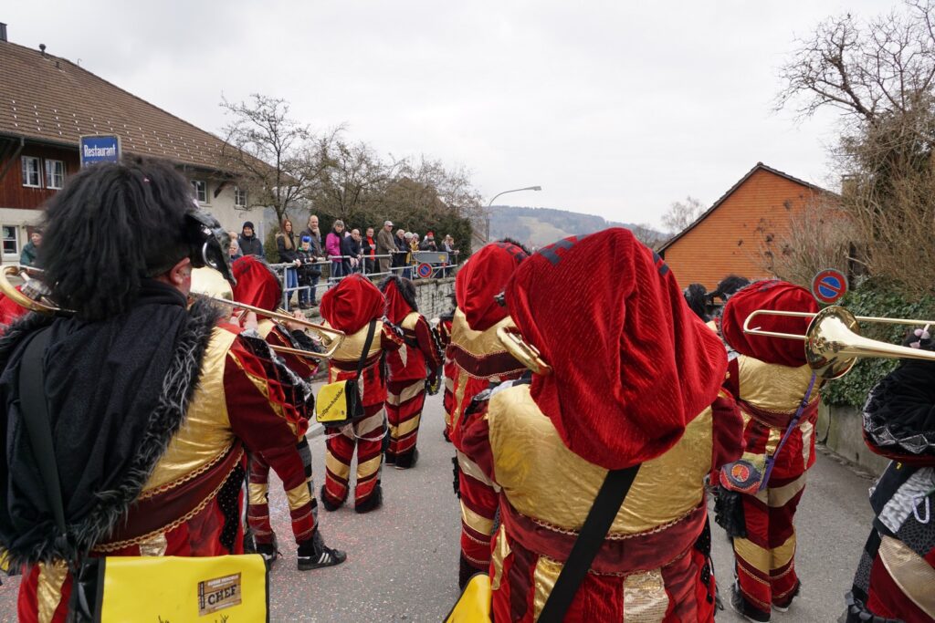 15_TVDR_FasnachtPfungen-2_070