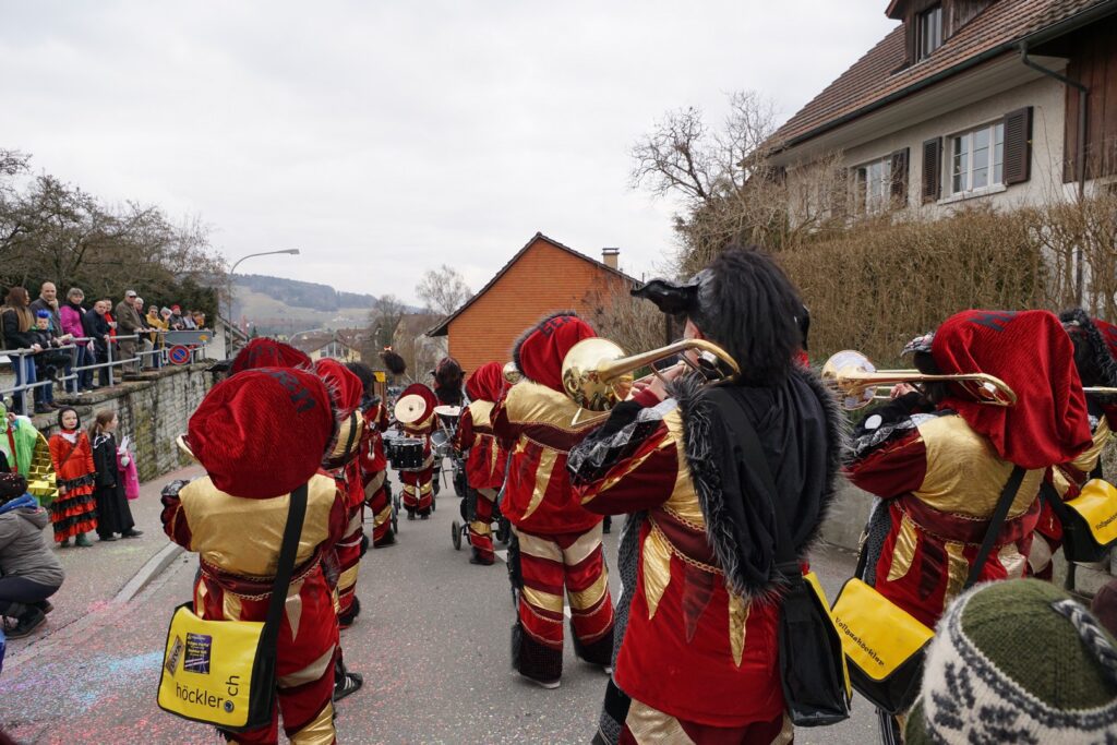15_TVDR_FasnachtPfungen-2_071