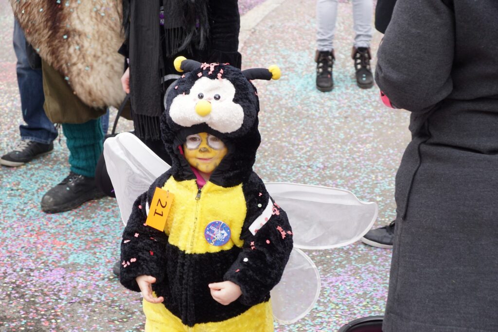 15_TVDR_FasnachtPfungen-2_079