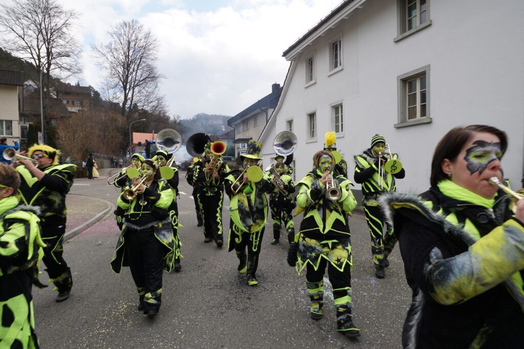 15_TVDR_FasnachtPfungen-2_110