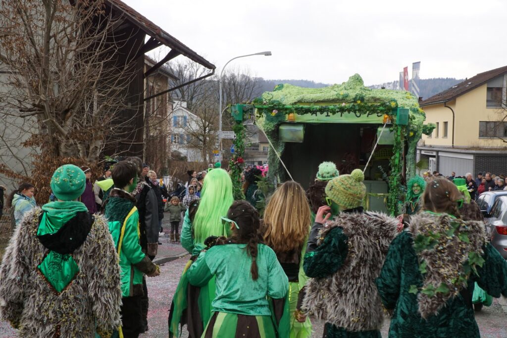 15_TVDR_FasnachtPfungen-2_174