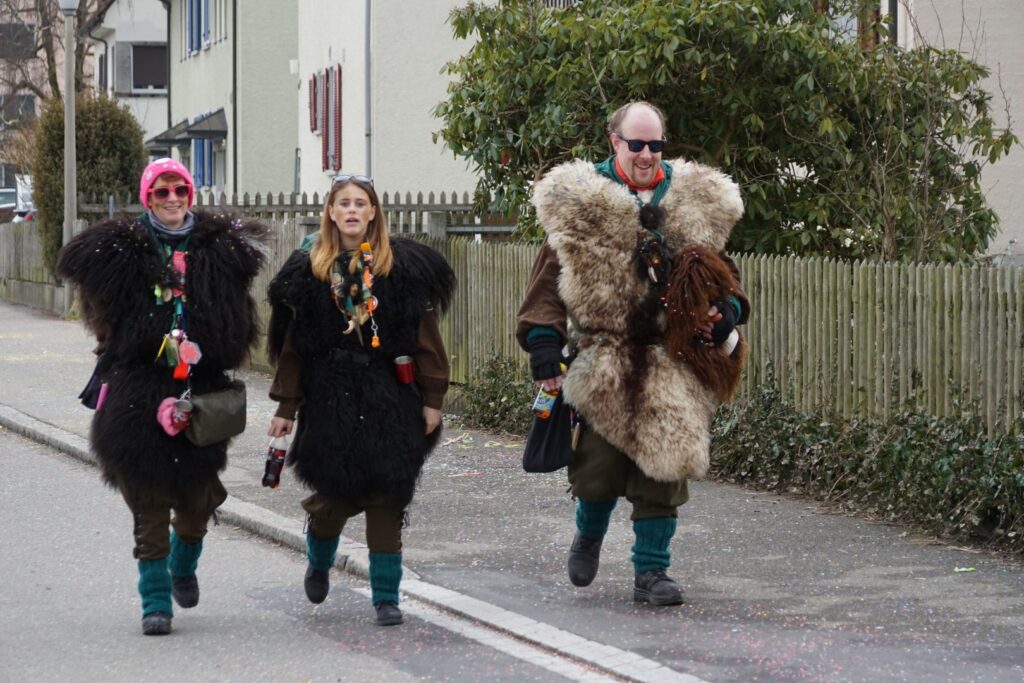15_TVDR_FasnachtPfungen-2_201