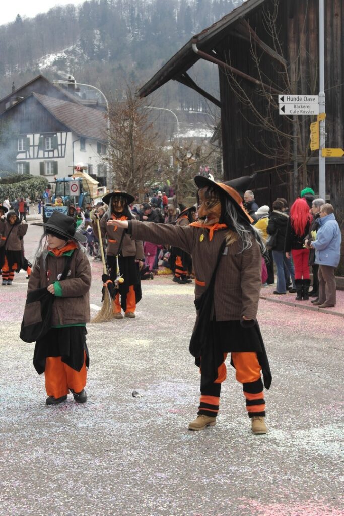 15_TVDR_FasnachtPfungen-3_029