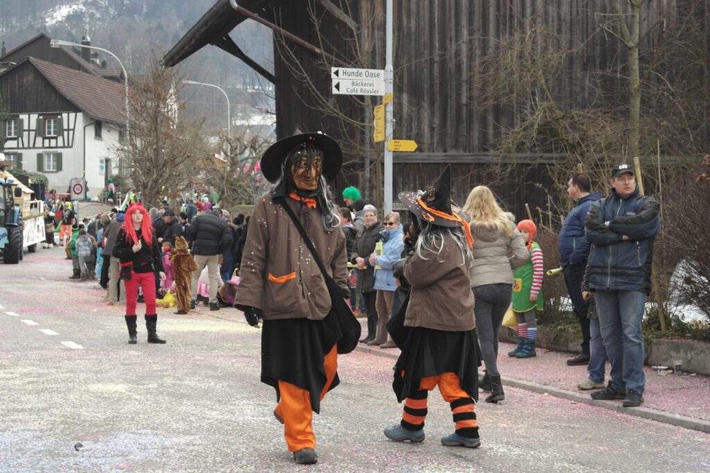 15_TVDR_FasnachtPfungen-3_031