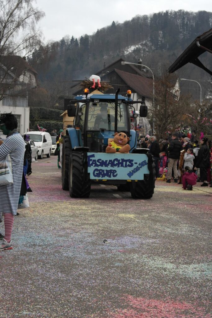 15_TVDR_FasnachtPfungen-3_034