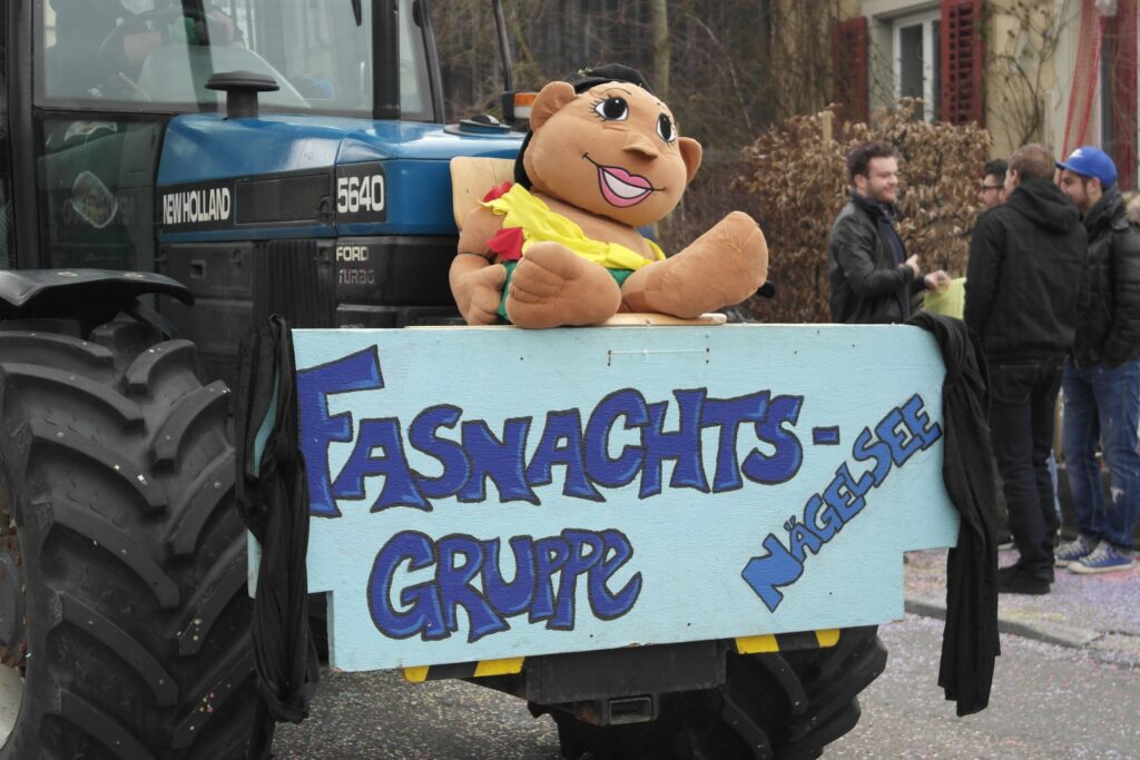 15_TVDR_FasnachtPfungen-3_035