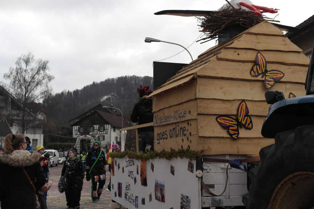 15_TVDR_FasnachtPfungen-3_036