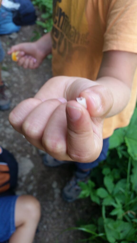 15_Jugi_Jugireise_015