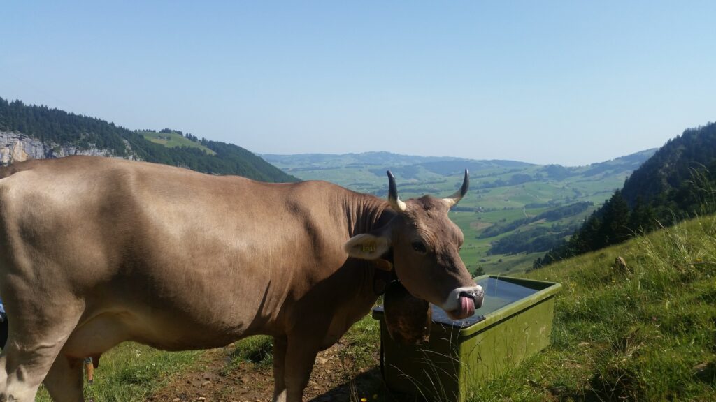 15_Jugi_Jugireise_049