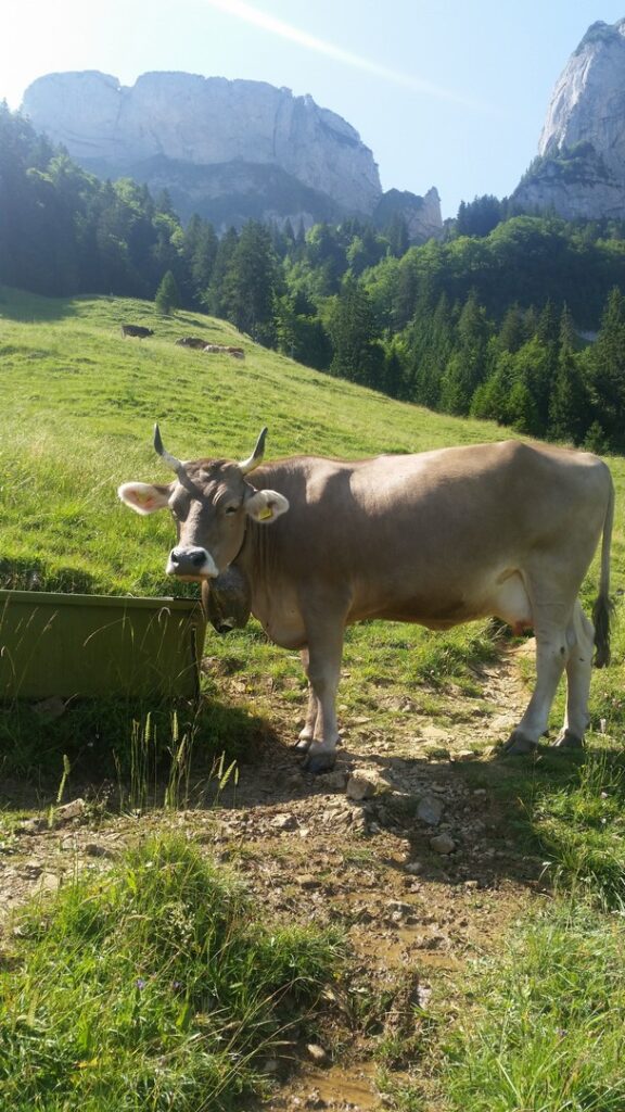 15_Jugi_Jugireise_050