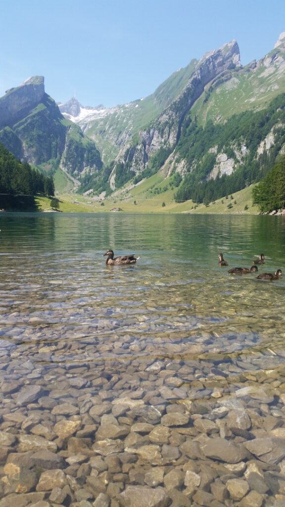 15_Jugi_Jugireise_053