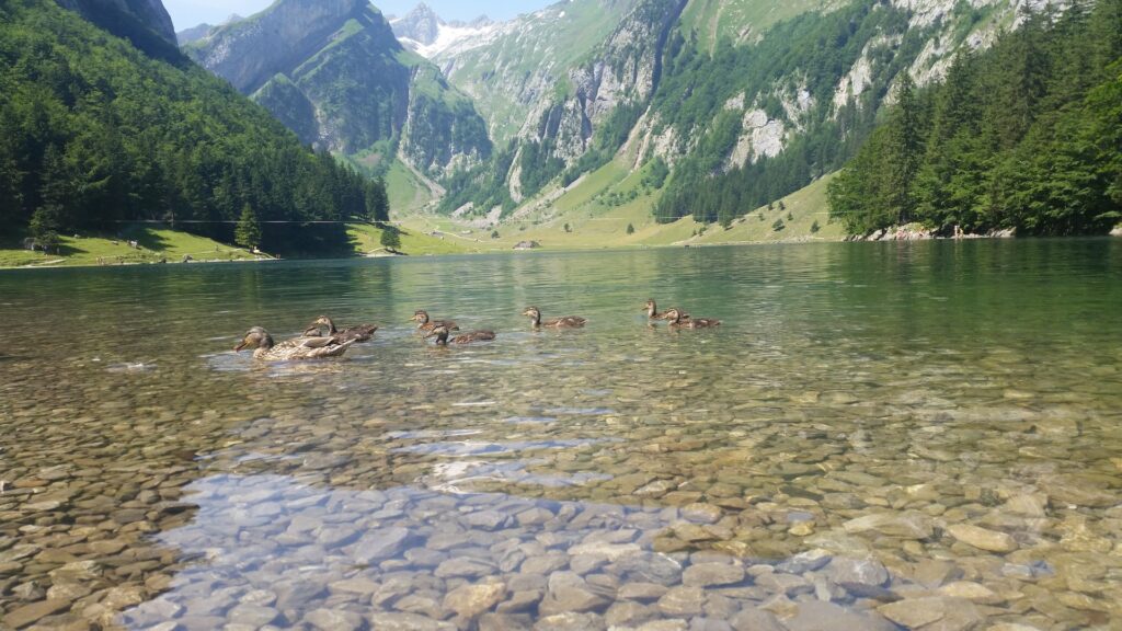 15_Jugi_Jugireise_054