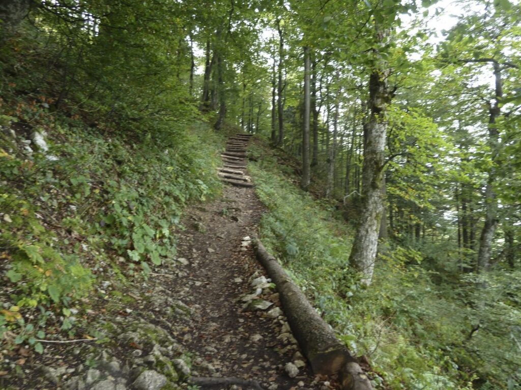 11_DR_Damenriegenreise_020