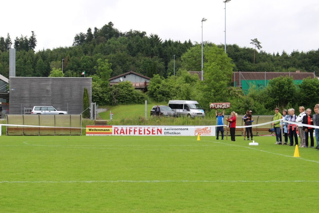 16_TVDR_RMS_Effretikon_007