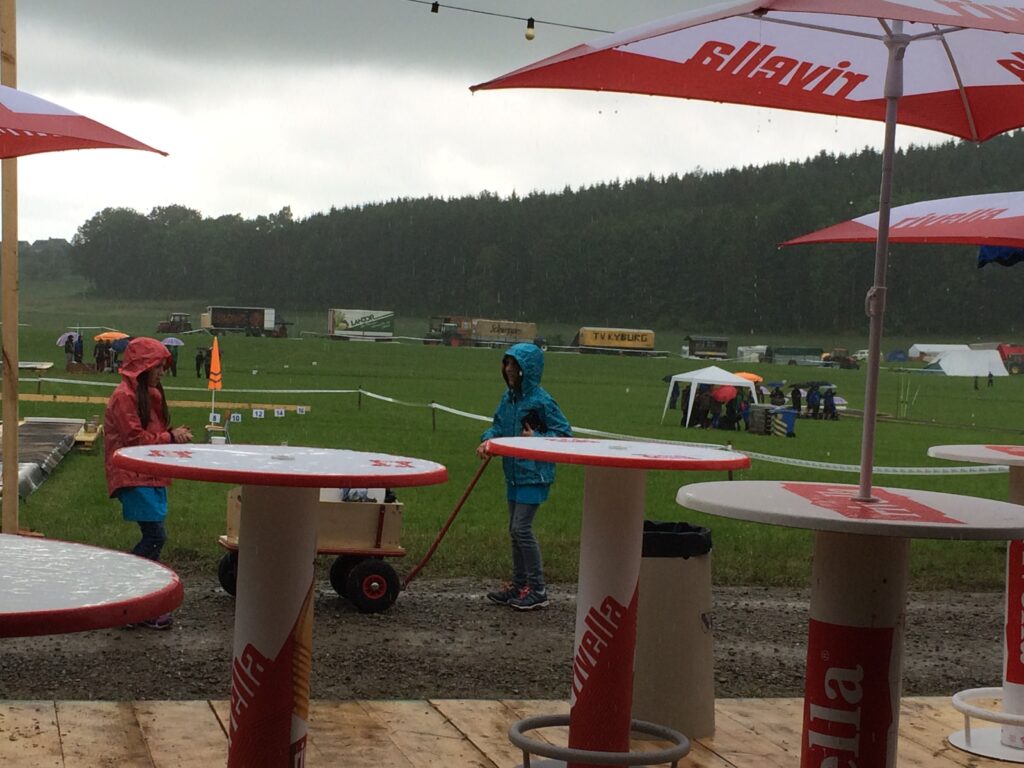 MR 16 - RMS Effretikon 4.6.2016