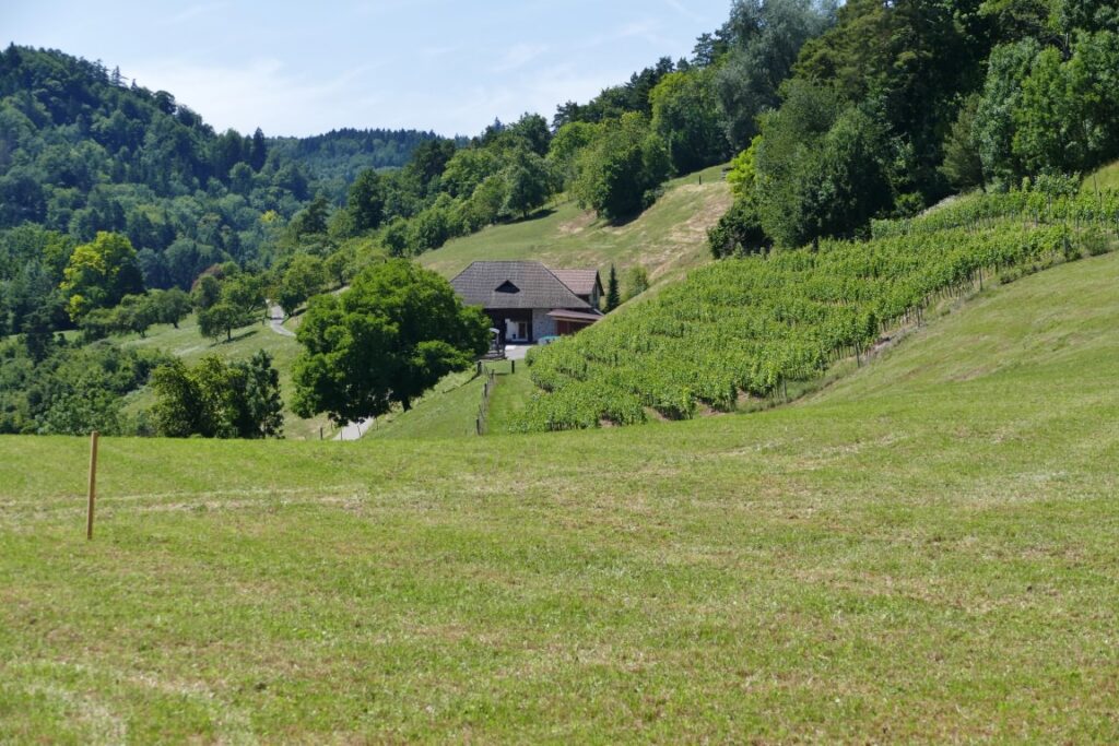 MR - 2017-07-05 Rebenturnfest aufstellen