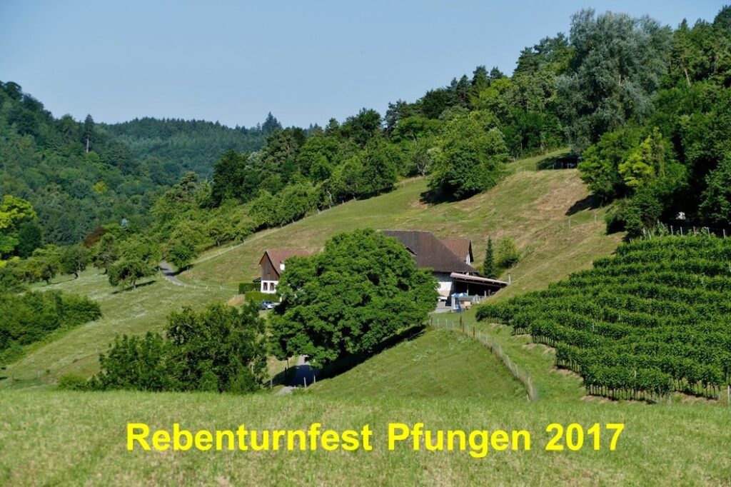 MR - Rebenturnfest in Pfungen 8. Juli 2017