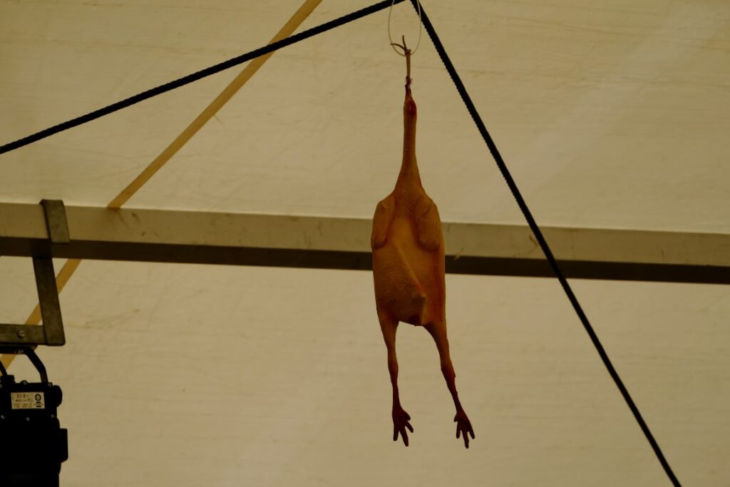 MR - Rebenturnfest in Pfungen 8. Juli 2017