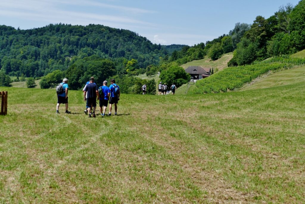 MR - Rebenturnfest in Pfungen 8. Juli 2017